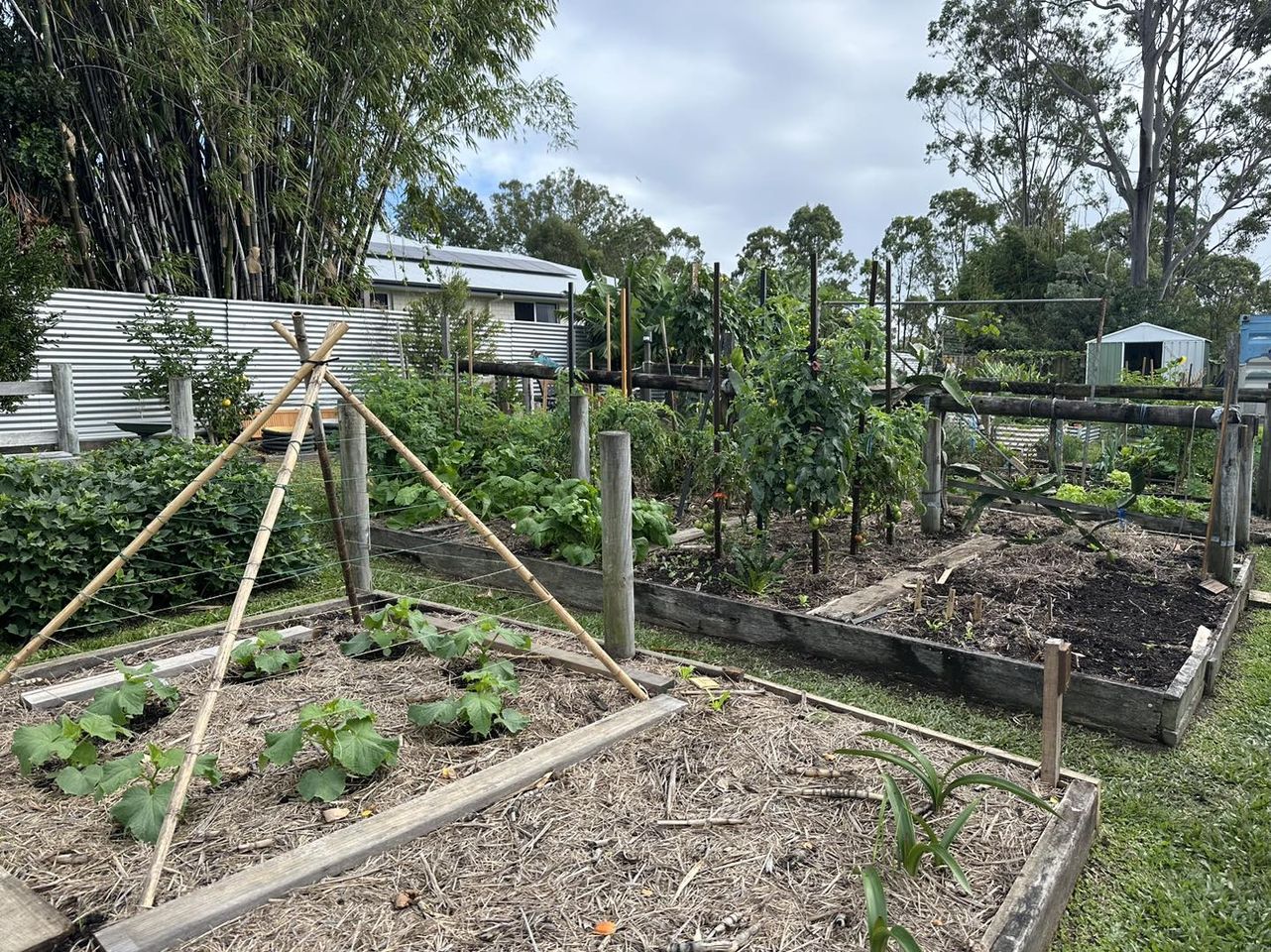 Oxenford Mens Shed Garden